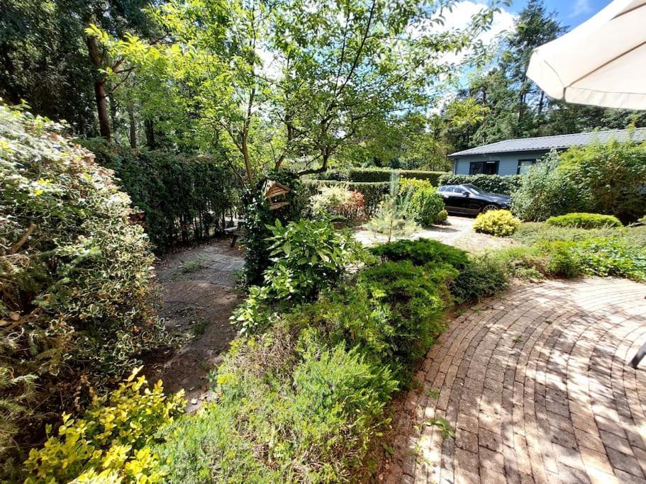 Heerlijk Chalet In Prachtige Natuur. Doornspijk Zewnętrze zdjęcie