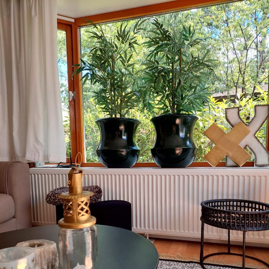 Heerlijk Chalet In Prachtige Natuur. Doornspijk Zewnętrze zdjęcie